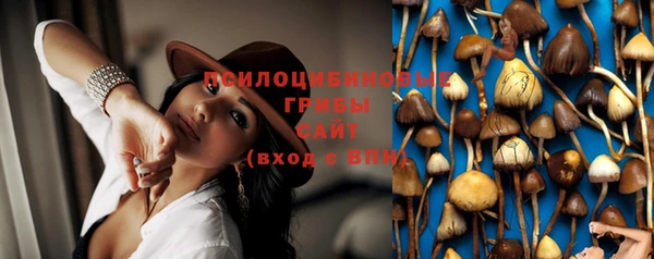 винт Вяземский