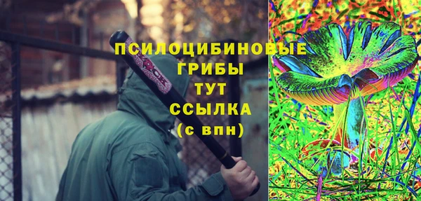 метадон Горняк
