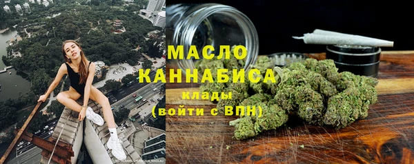 винт Вяземский