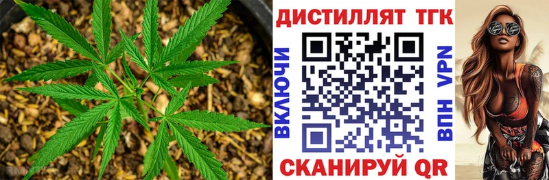 наркота  Зеленогорск  ТГК вейп с тгк 