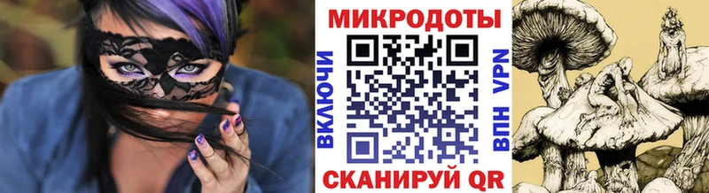 mega ТОР  Зеленогорск  Псилоцибиновые грибы мухоморы 